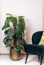 Planta artificiala Monstera in ghiveci - 120 cm