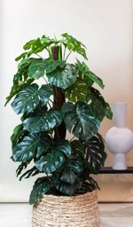 Planta artificiala Monstera in ghiveci - 150 cm