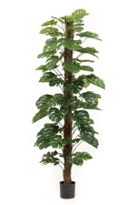 Planta artificiala Monstera in ghiveci - 210 cm