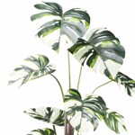 Planta artificiala Monstera Variegata - 100 cm