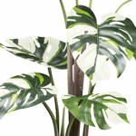 Planta artificiala Monstera Variegata - 100 cm
