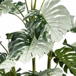 Planta artificiala Monstera Variegata Halfmoon - 140 cm