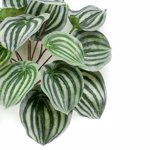 Planta artificiala Peperomia verde pudrat - 25 cm