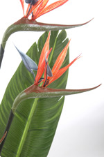 Planta artificiala Strelitzia cu flori in ghiveci - 120 cm