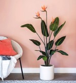 Planta artificiala Strelitzia cu flori in ghiveci - 120 cm