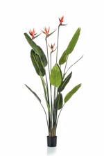 Planta artificiala Strelitzia cu flori in ghiveci - 150 cm