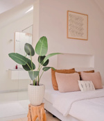 Planta artificiala Strelitzia in ghiveci - 120 cm