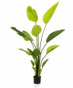 Planta artificiala Strelitzia Nicolai in ghiveci - 150 cm