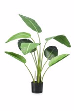 Planta artificiala Strelitzia in ghiveci - 120 cm
