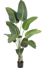 Planta artificiala Strelitzia in ghiveci - 190 cm