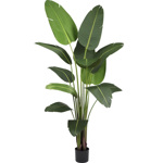 Planta artificiala Strelitzia in ghiveci - 230 cm