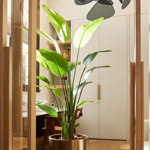 Planta artificiala Strelitzia Nicolai in ghiveci - 180 cm