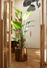 Planta artificiala Strelitzia Nicolai in ghiveci - 180 cm