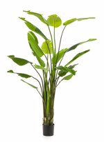 Planta artificiala Strelitzia Nicolai in ghiveci - 235 cm
