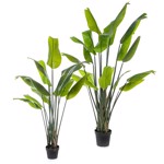 Planta artificiala Strelitzia Palm in ghiveci - 150 cm