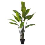 Planta artificiala Strelitzia Palm in ghiveci - 150 cm