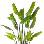 Planta artificiala Strelitzia Palm in ghiveci - 200 cm