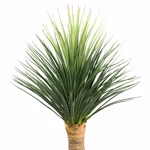 Planta artificiala Yucca Nolina Recurvata - 110 cm