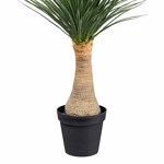Planta artificiala Yucca Nolina Recurvata - 110 cm