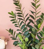 Planta artificiala Zamioculcas in ghiveci - 110 cm