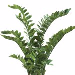 Planta artificiala Zamioculcas in ghiveci - 130 cm