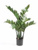 Planta artificiala Zamioculcas in ghiveci - 70 cm
