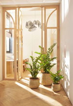 Planta artificiala Zamioculcas in ghiveci - 70 cm