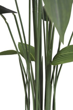 Planta Heliconia artificiala in ghiveci - 175 cm