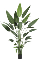Planta Heliconia artificiala in ghiveci - 220 cm