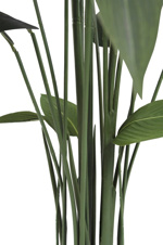 Planta Heliconia artificiala in ghiveci - 220 cm