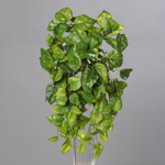 Plante artificiale curgatoare Pothos verde - 40 cm