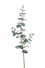 Ramura eucalipt artificial verde pudrat - 68 cm