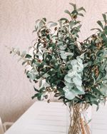 Ramura eucalipt artificial verde pudrat - 68 cm