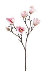 Ramura magnolia artificiala crem-roz - 65 cm
