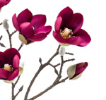 Ramura magnolia artificiala mov - 65 cm