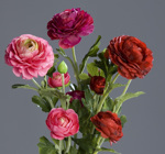 Buchet x3 ranunculus artificial fuchsia-roz - 62 cm