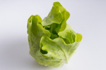 Salata artificiala decorativa verde-crem - 12 cm