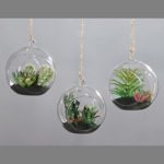Set x3 plante suculente artificiale decorative in ghiveci de sticla - 13 cm