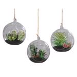 Set x3 plante suculente artificiale decorative in ghiveci de sticla - 13 cm