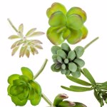 Set x6 plante suculente artificiale decorative