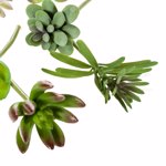 Set x6 plante suculente artificiale decorative
