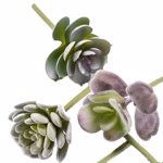 Set x6 plante suculente artificiale verde pudrat