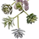 Set x6 plante suculente artificiale verde pudrat