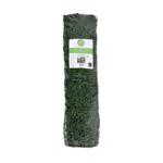 Spalier extensibil cu frunze de artar - 1x1.5m