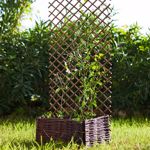 Spalier extensibil din lemn - 0.5x1.5m