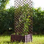 Spalier extensibil din lemn - 1x2m
