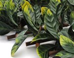 Spalier extensibil UV din lemn PRUNUS - 135x120 cm
