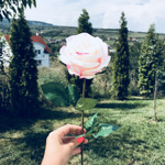 Trandafir artificial alb-roz - 56 cm