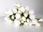 Trandafiri artificiali crem - 37 cm