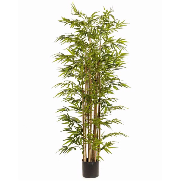 Bambus artificial decorativ Deluxe x15 in ghiveci negru - 175 cm